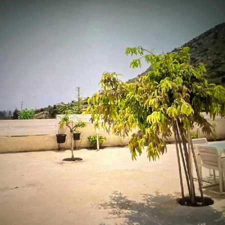 Casa 10